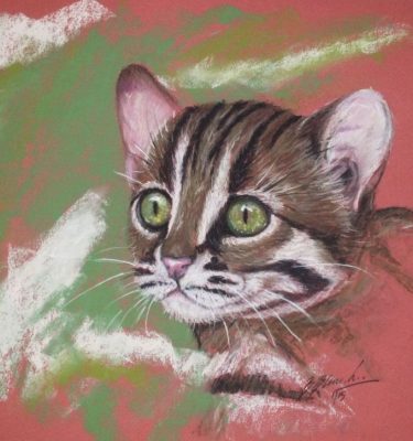 Pastel portrait of a young rusty spotted cat.