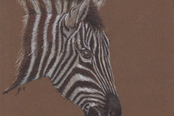 Pastel painting of a zebra