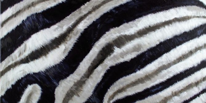 Acrylic painting of a Zebra