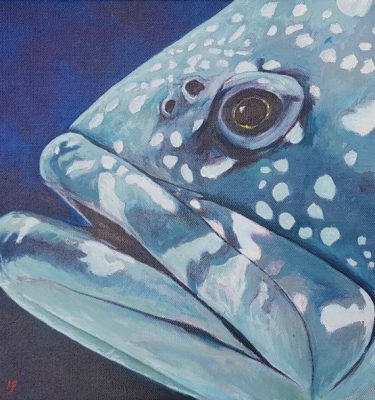 Acrylic painting of a potato cod