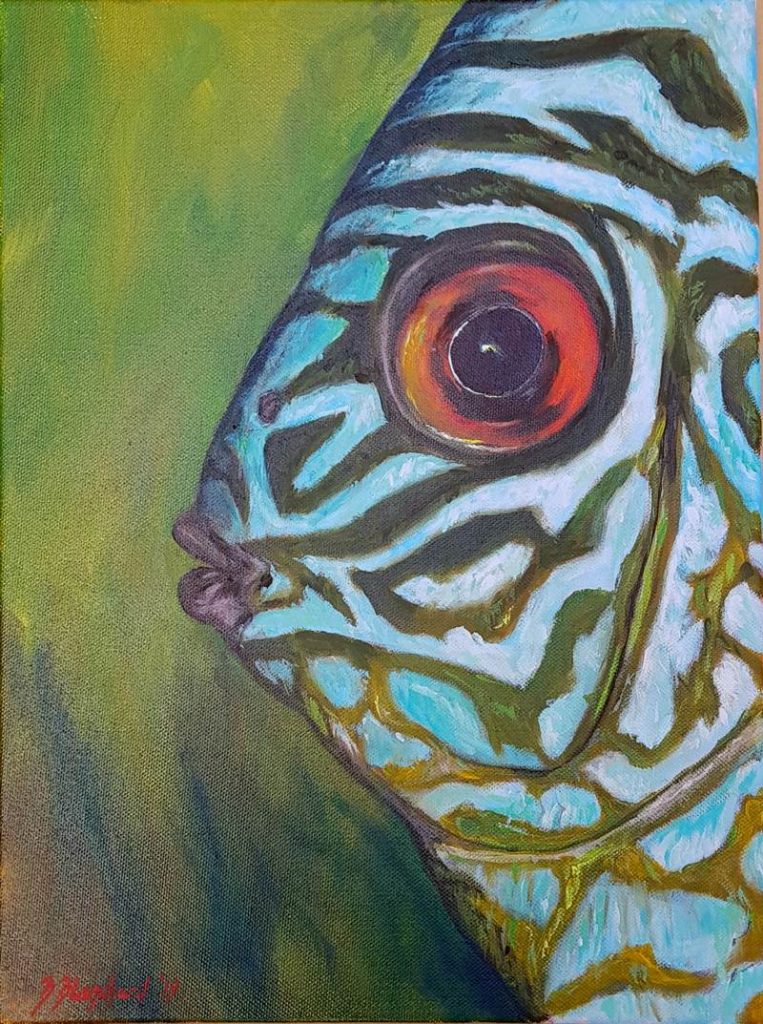 Acrylic painting of a Cichlid