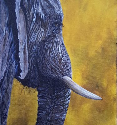 Acrylic painting of an Africa Elephant